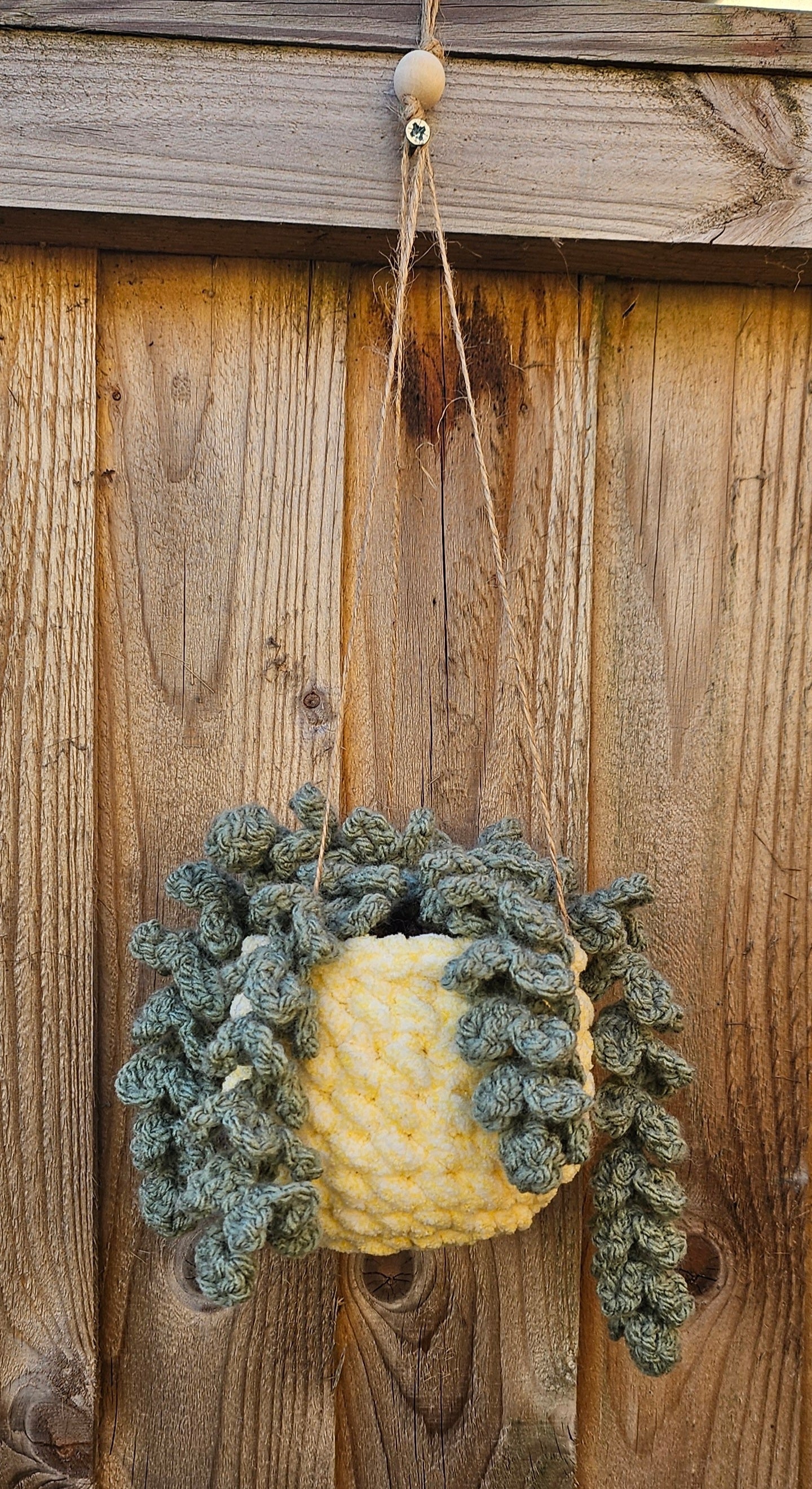 Hanging Plant by My Quirky Craft Corner
