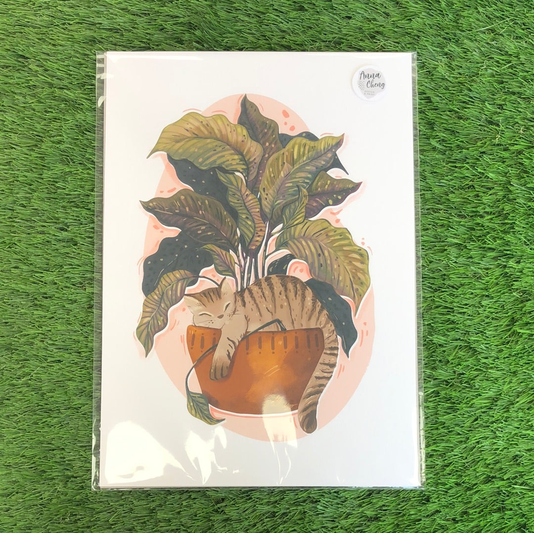 A4 Print - Cat in Plant Pot by Anna Cheng