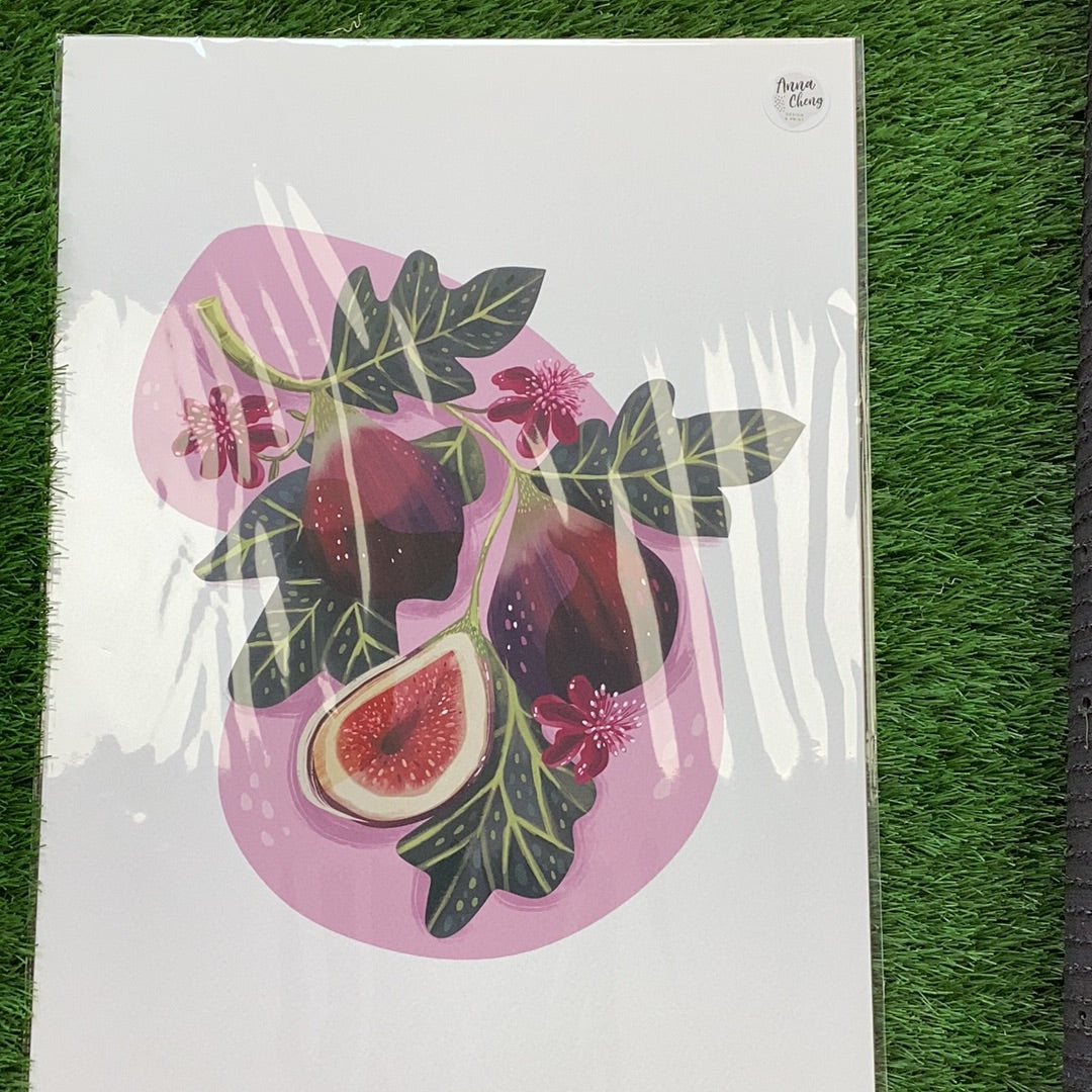 A3 Print - Figs by Anna Cheng
