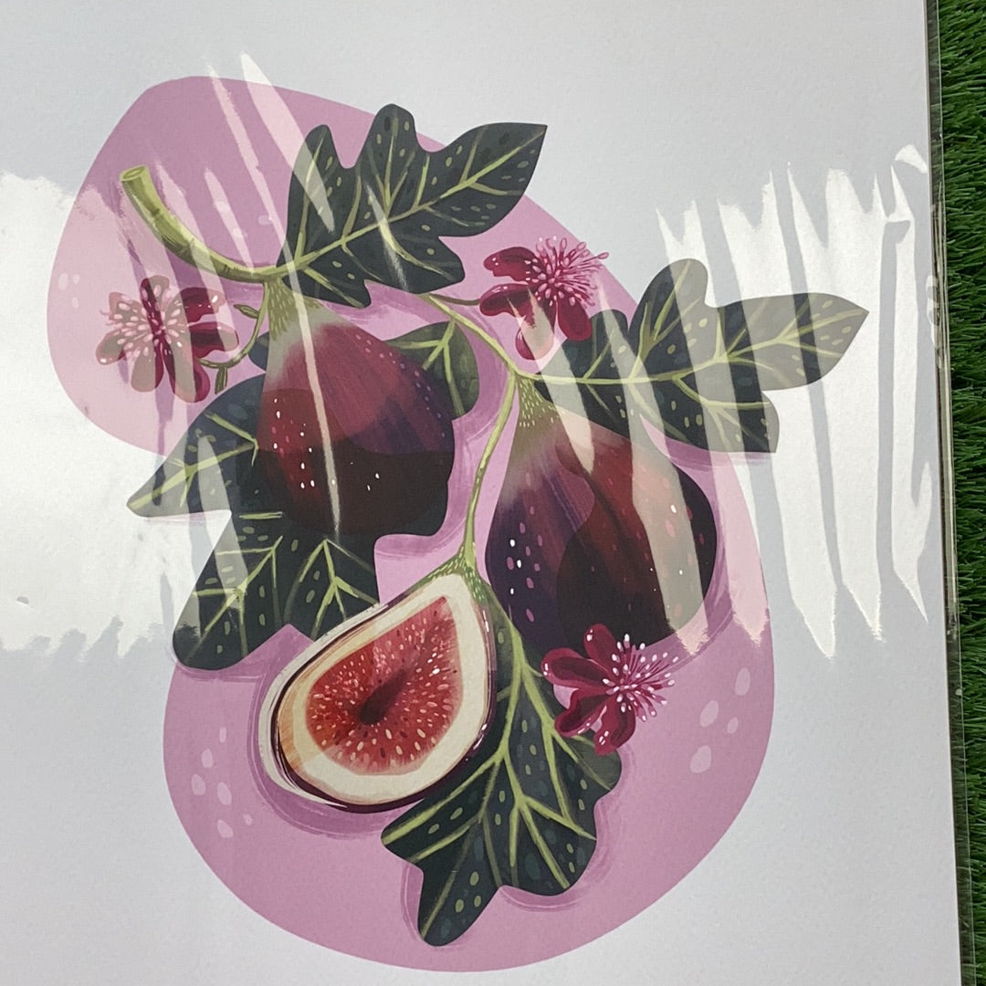A3 Print - Figs by Anna Cheng