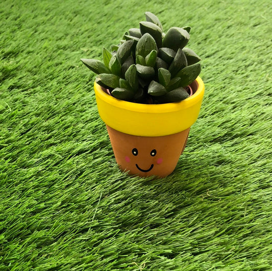 Extra Small Face Plant Pot by Itsy Bit Potty