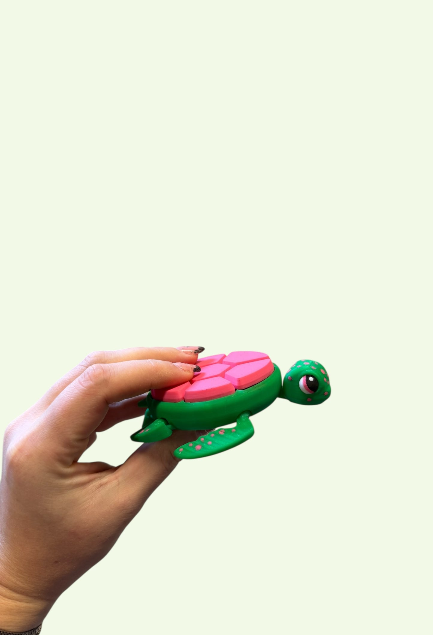 Multi-Clicker Turtle by Fidglets