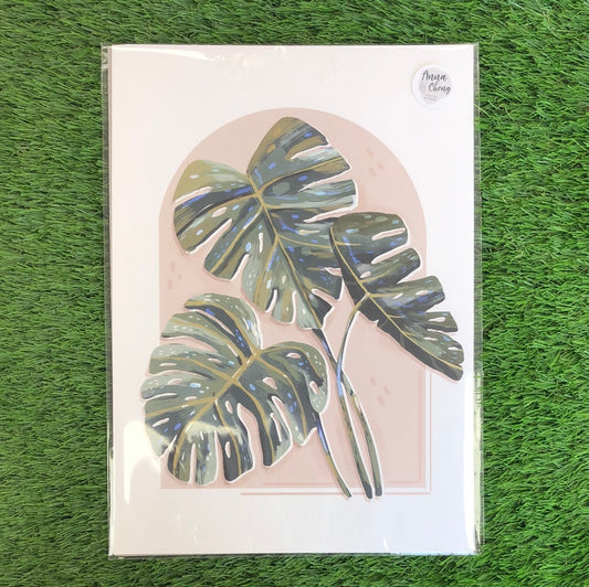 Anna Cheng A4 Print - Cheese Plants