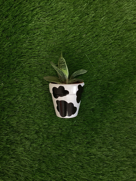 Extra Small Cow Print Plant Pot by Itsy Bit Potty