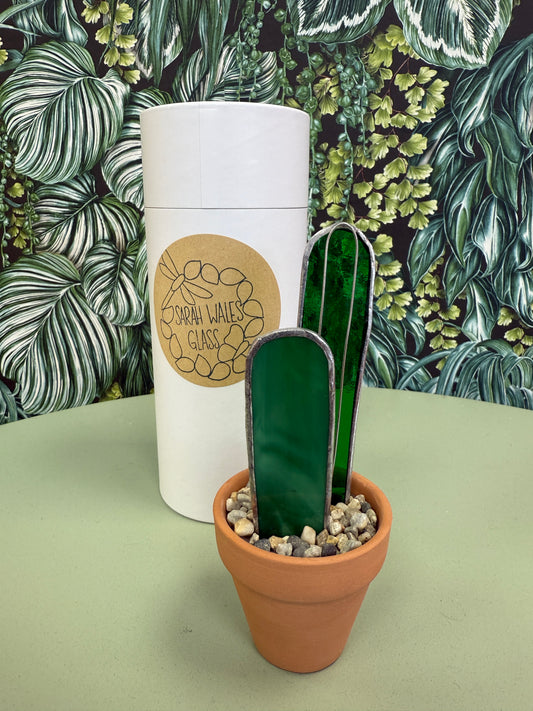 Cactus 7 by Sarah Wales Glass