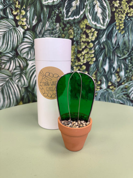 Cactus 2 by Sarah Wales Glass