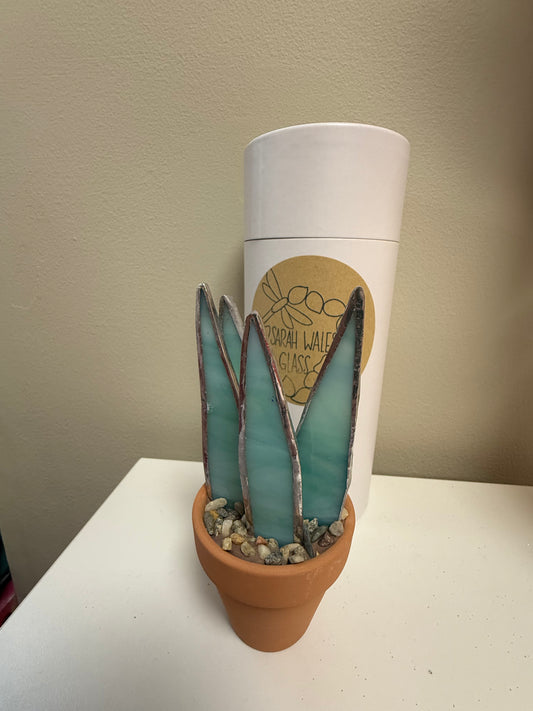 Cactus 5 by Sarah Wales Glass